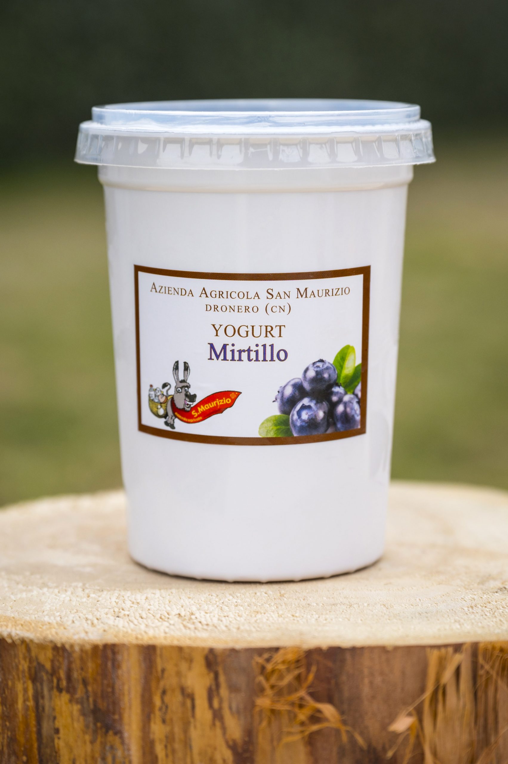 YOGURT 1/2 LITRO Mirtillo